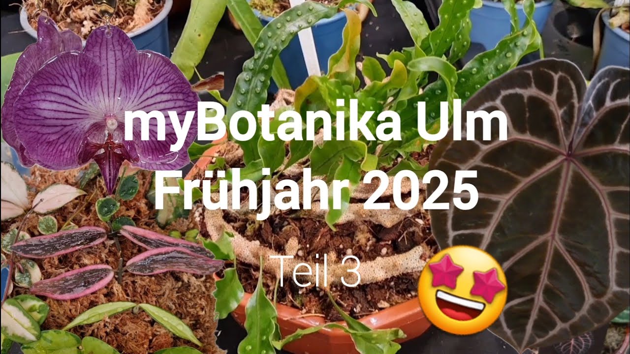 myBotanika Ulm 🌱 | Frühjahr 2025 🌸 | Teil 3 💚