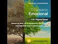 El cansancio emocional (primera parte) -Virginia Gawel