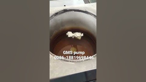 GMS pump for EPE foam extruder, Merry