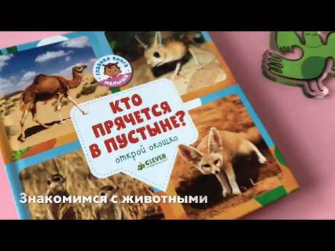 Фотокнига «Кто прячется в пустыне?»