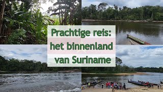 Een Prachtige Reis Door Het Binnenland Van Suriname