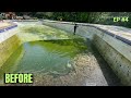 Can it be restored ? | Pool Transformation  | Let’s| Pressure washing | EP#4 Timelapse