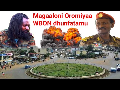 Magaalonii Hedduun Harka WBO Galuu Network Bakka Heddutti Baduu Moha Oromo