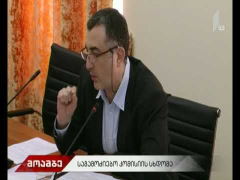საგამოძიებო კომისიის მორიგი სხდომა