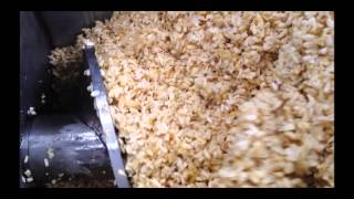 Dewatering Corn Germ Wet Milling - Vincent Screw Press