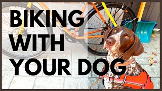 Tips for Biking With Your HIGH Energy Dog!