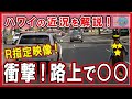 Ｒ指定【衝撃映像公開】恐怖を感じる映像！ ハワイの近況を解説！ 治安悪化・犯罪多発 #HAWAII #ワイキキ #海外生活 #2022