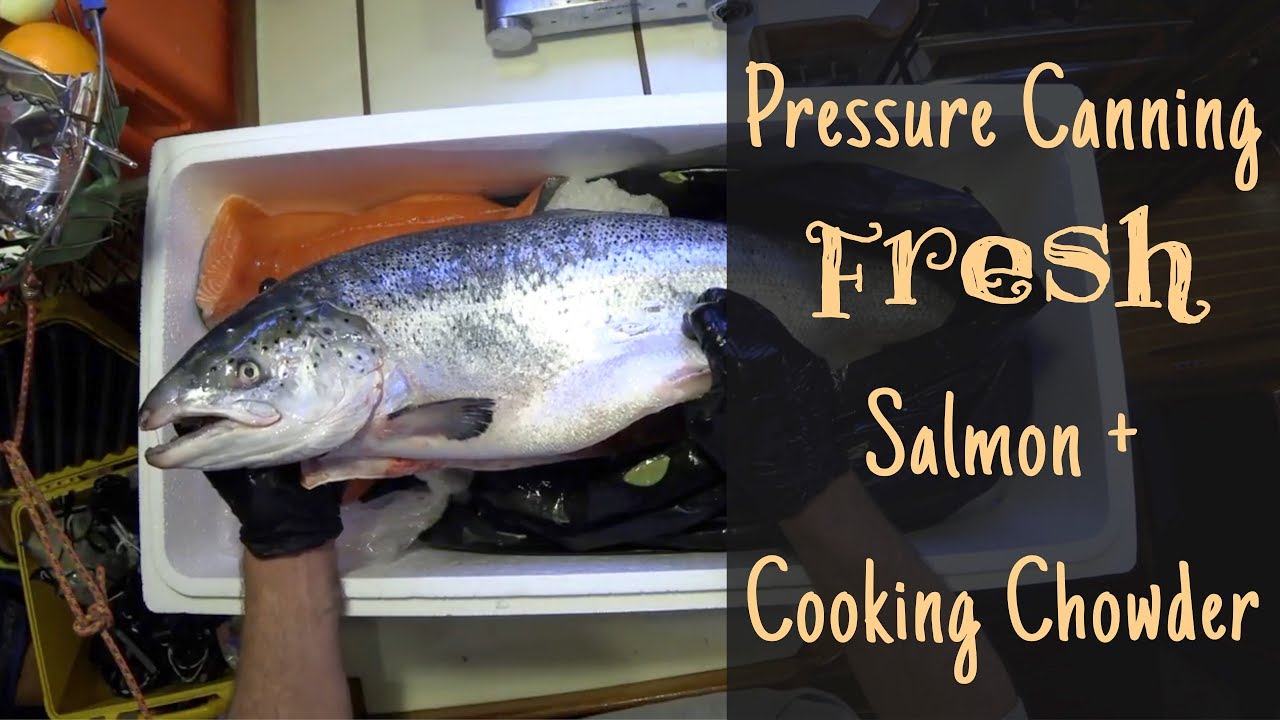 Pressure Canning FRESH Salmon + Cooking Chowder