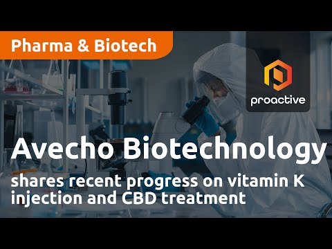 Avecho Biotechnology shares recent progress on vitamin K injection and CBD treatment