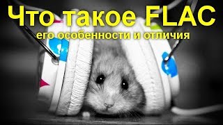 Что такое FLAC, его особенности и отличия