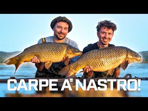 🎣🚀 Fast Carp Fishing: WINNING STRATEGIES for Short Sessions (Rigs, Bait, Spots and Preparation) 💥🏆