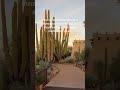 If you're worried about the cost of moving your family to Arizona...