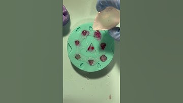 I’m making dice for the #dnd schools of magic and starting with Enchantment! #dice #shorts #magic