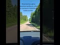 Ajoin btw risteyksen ohi vahingos ku kuvasin tätä. #lovely #finnish #finnishnature #hyväsuuntavaisto