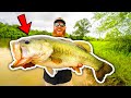 I Caught the POND MONSTER (Topwater Fishing MADNESS!!)