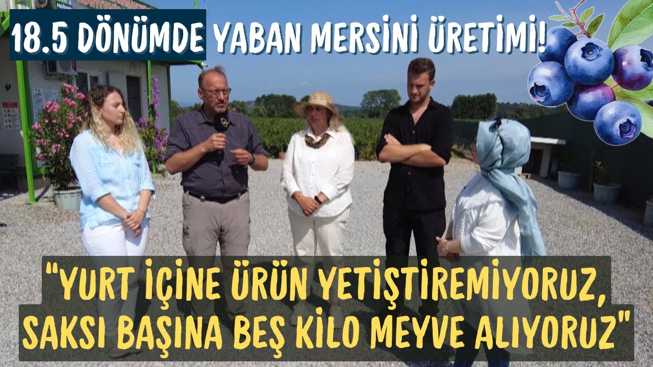 18.5 Dönümde Yaban Mersini / Yurt İçine Ürün Yetiştiremiyoruz, Saksı Başına Beş Kilo Meyve Alıyoruz!