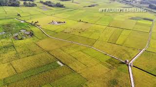 DESA WISATA DENAI LAMA, PANTAI LABU - DELISERDANG