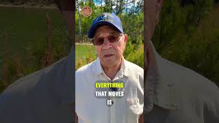 NOT EVERY DIFFERENCE IS A CLUE ￼