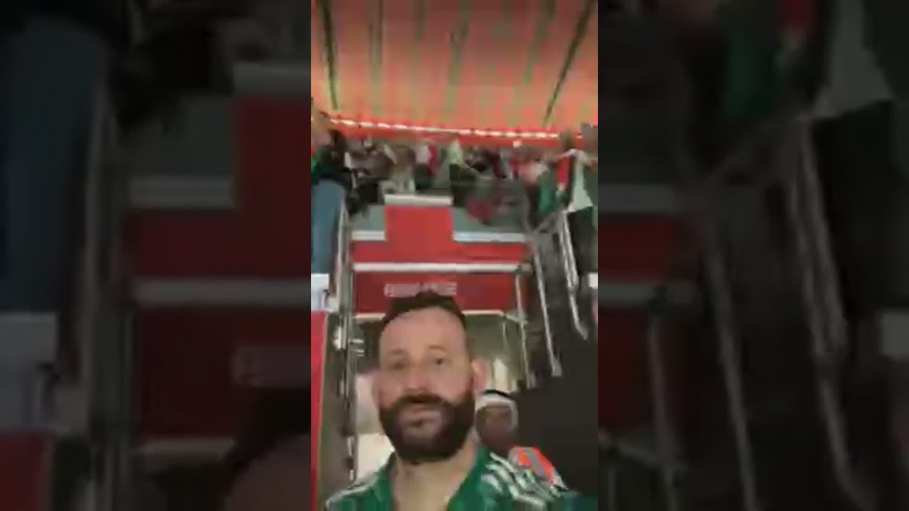 شاهد فرحة الجزائريين لحضة التتويج في قطر أمتع اللحظات