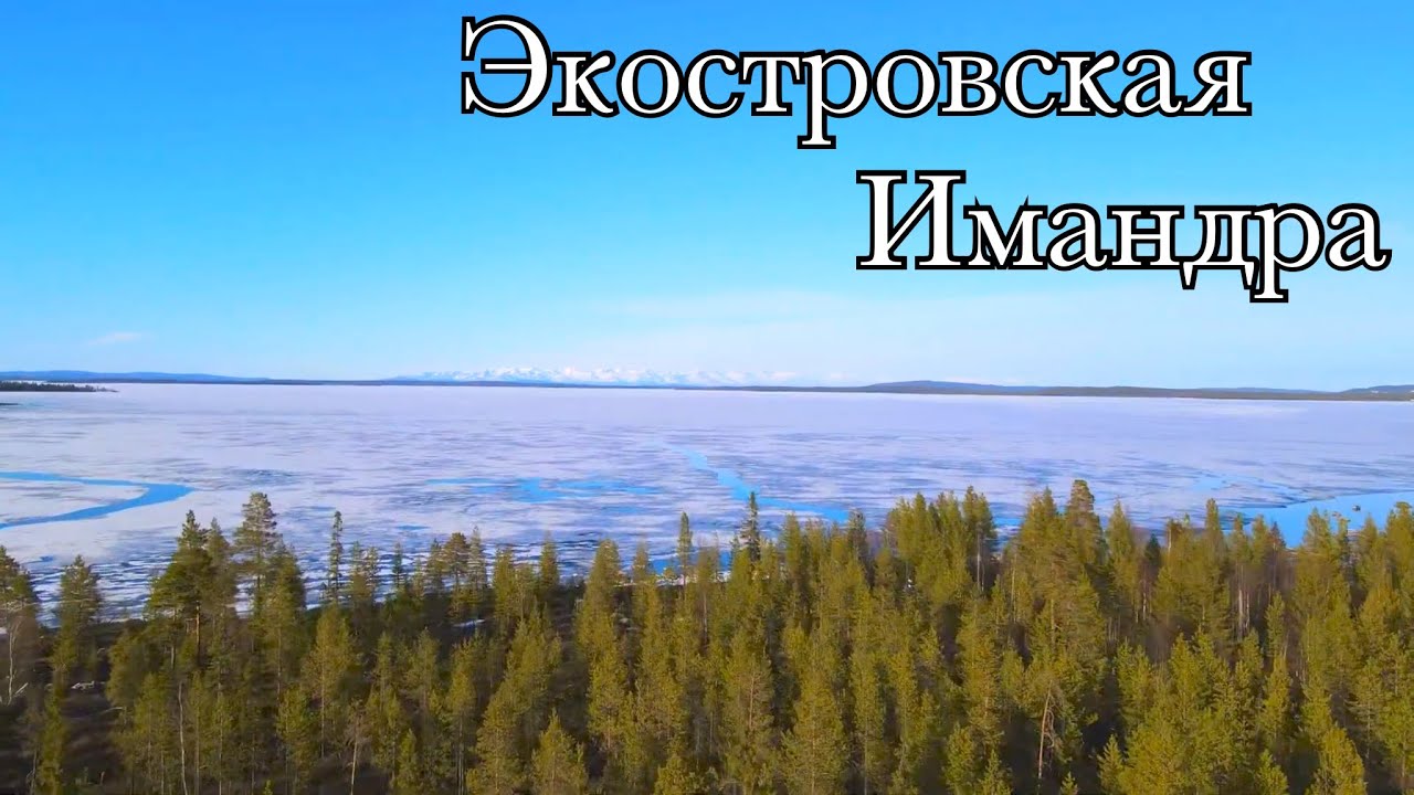 Экостровский мост Экостровский мост