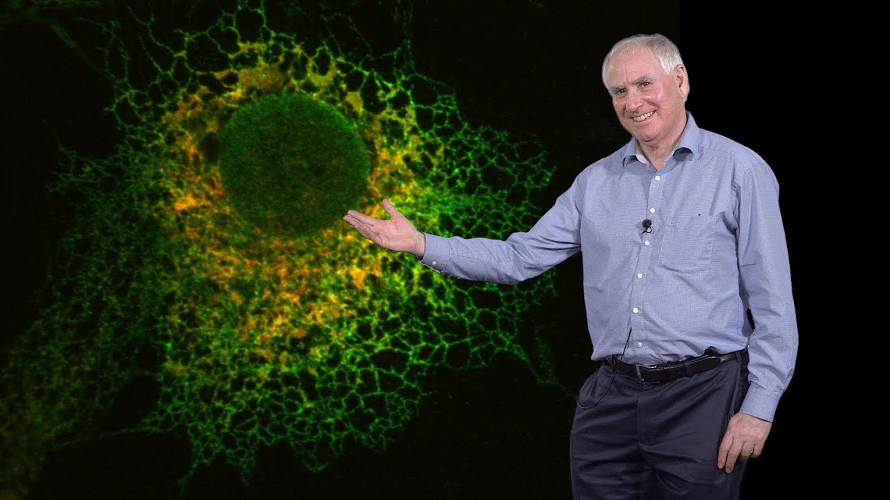 Tom Rappold Tom Rapoport (Harvard, HHMI) 2: How are cellular organelles shaped ...
