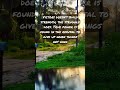 #music #motivation