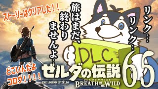 【はじめてのゼルダの伝説】＃65　DLC！DLC！をやるかは分からない。だってコログ居ないんだもん【BotW】