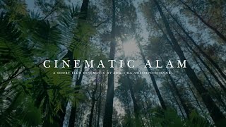 Cinematic Alam | Hutan Dan Air Terjun | Video Cinematic Nature Broll