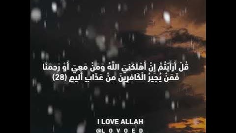 الورد اليومي سوره الملك ياسر الدوسري من الايه 25 الي30 - سورة الملك ياسر الدوسري / كامله
