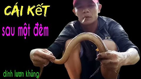 Mồi Ốc Bươu Vàng Đặt Trúm Lươn Cái Kết