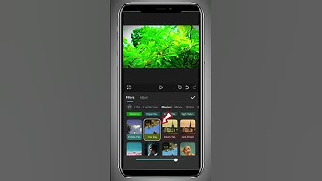 Capcut tips video editing and colour grading tutorial#shortvideos #viralvideos #edting