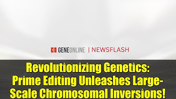 Revolutionizing Genetics: Prime Editing Unleashes Large-Scale Chromosomal Inversions!