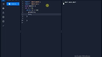 while loop in dart programming language