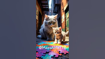 Mom Cat and Kitten – The Alleyway Puzzle 😺 #shorts #animation #catshorts