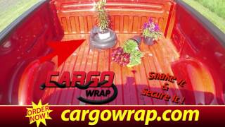 Traeyne Corp   Cargo wrap 30 Generic