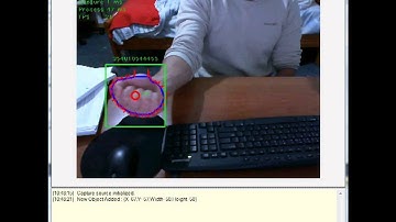 Hand Detection and Tracking with contour refinement test 1