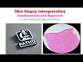 Skin Biopsy Interpretation | Dermatopathology Definitions Explained | Episode 2