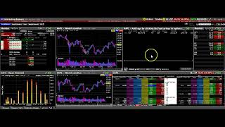 Interactive Brokers. The TWS Options Video.