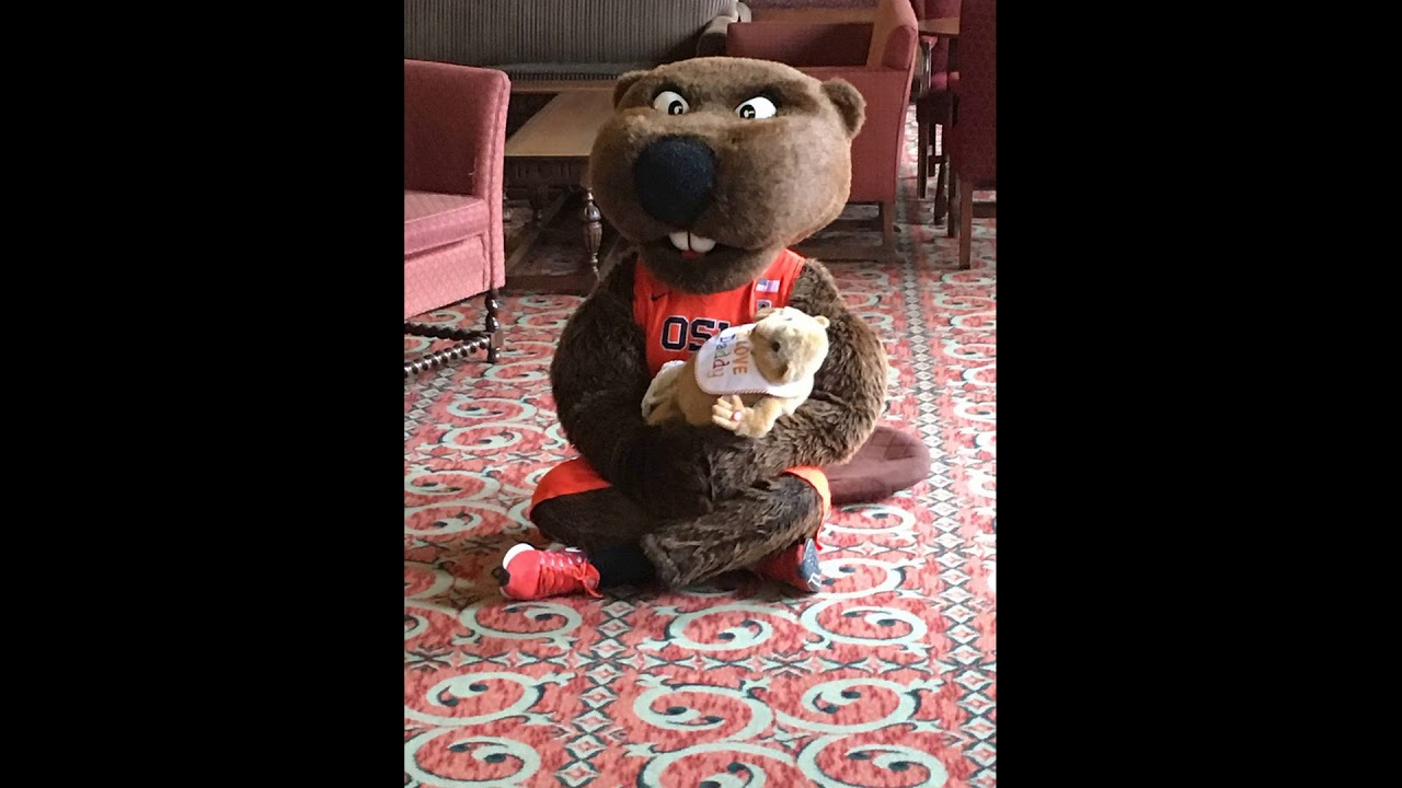 Benny the Beaver 2015 - YouTube