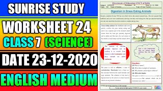 Worksheet no. 24 Date 23-DEC-2020 Class 7 th Sub :-  SCIENCE (ENGLISH MEDIUM) DOE