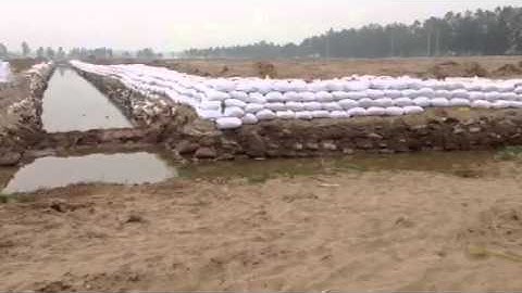 Thi công bấc thấm, hút chân không, cọc cát cọc xi măng đất