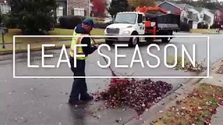 Leaf Season Do's and Don'ts