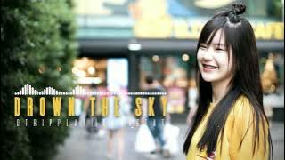 DROWN THE SKY|| Dj Remix ช้าtiktok2022‼️[By. Rawi Beat]