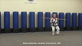 Dan Bong - Front Left View - Manna's Martial Arts - 2009