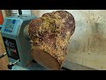 Woodturning - A Crotch Log Bowl