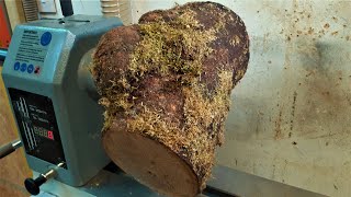 Woodturning - A Crotch Log Bowl