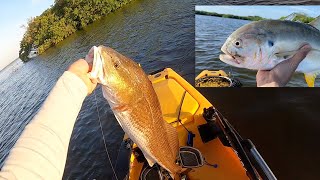 Fishing for Redfish & Jacks in Tampa Bay, Florida | Kayak Fishing