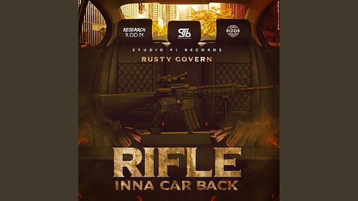Rifle Inna Car Back
