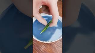 Download Lagu How To Make A Compass With A Needle 😮 MP3 Download Lagu How To Make A Compass With A Needle 😮 MP3