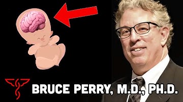 Bruce Perry, M.D., Ph.D. - Inter-generational Trauma & Early Brain Development